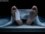JOVEM MORRE EM ACIDENTE NA ZONA RURAL DE BREJÃO